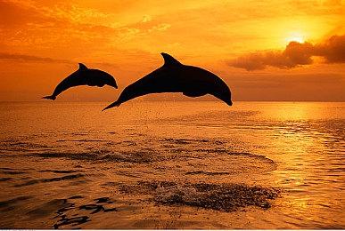 《观察与报告》登陆Steam 终极监控模拟游戏